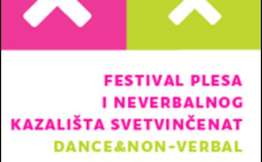 15th Dance & Non- Verbal Theater Festival San Vincenti 2014